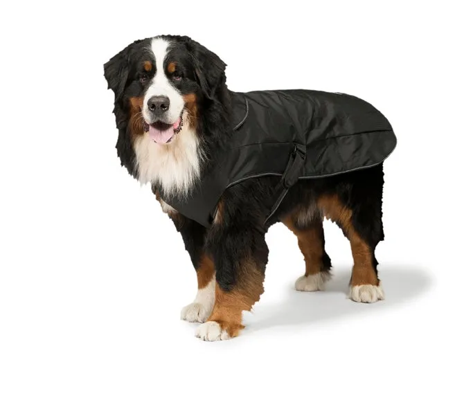 2-in-1 Black Waterproof Harness Dog Coat by Danish Design