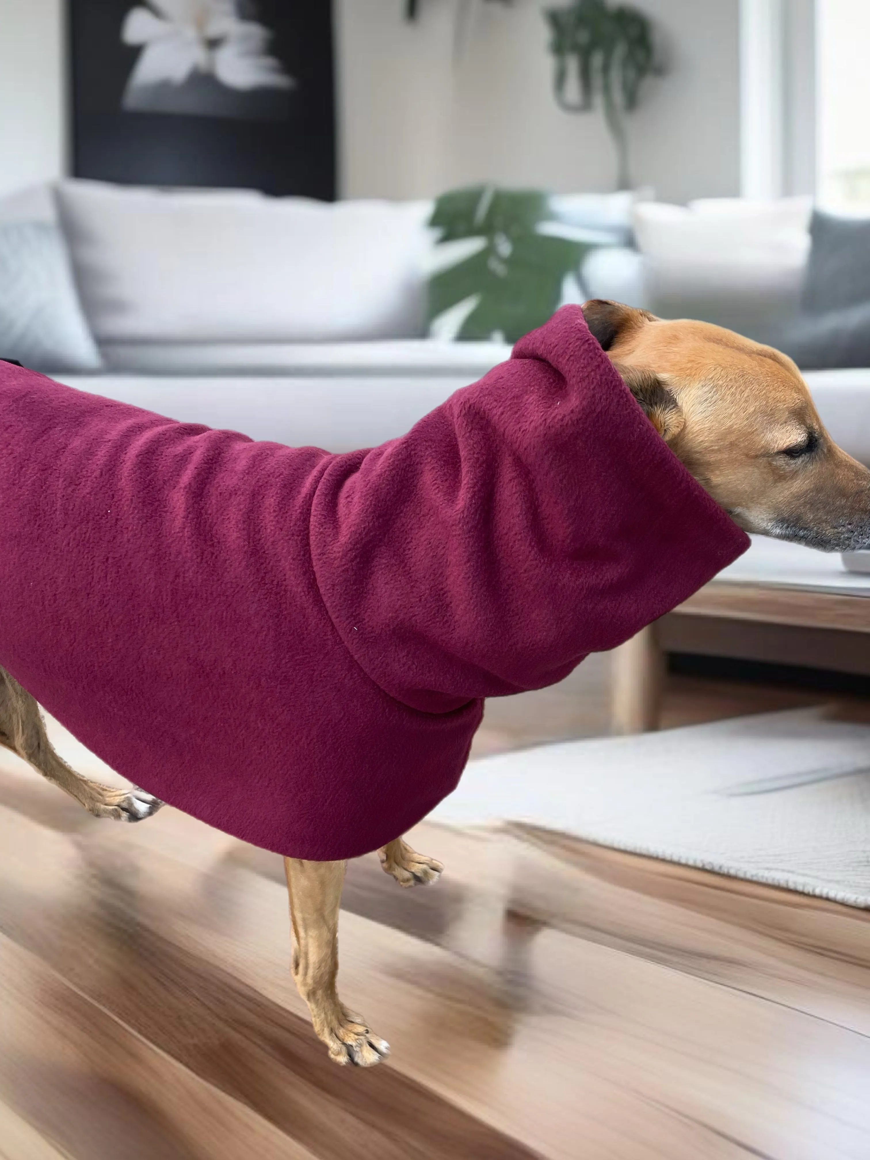 Burgundy Greyhound Deluxe Dog coat dog rug,  thick double polar fleece black washable extra wide hoodie