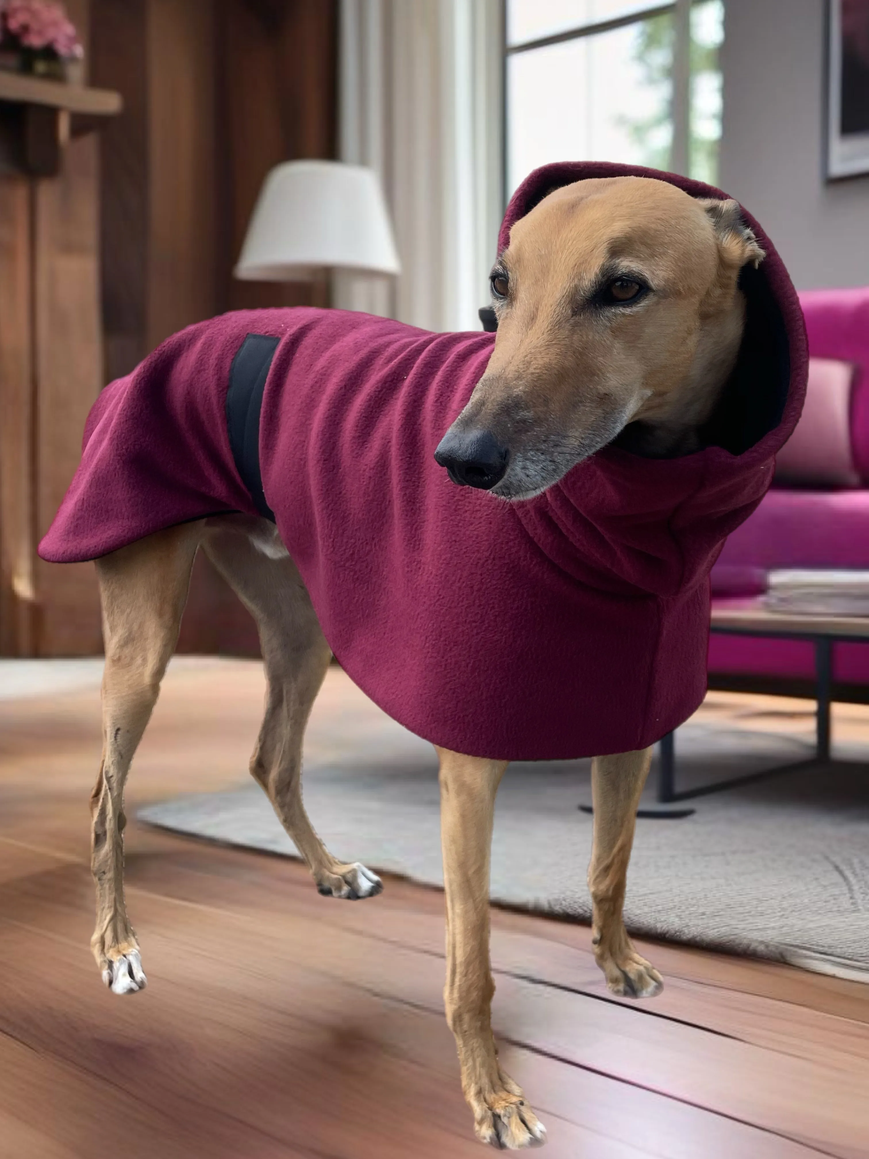 Burgundy Greyhound Deluxe Dog coat dog rug,  thick double polar fleece black washable extra wide hoodie