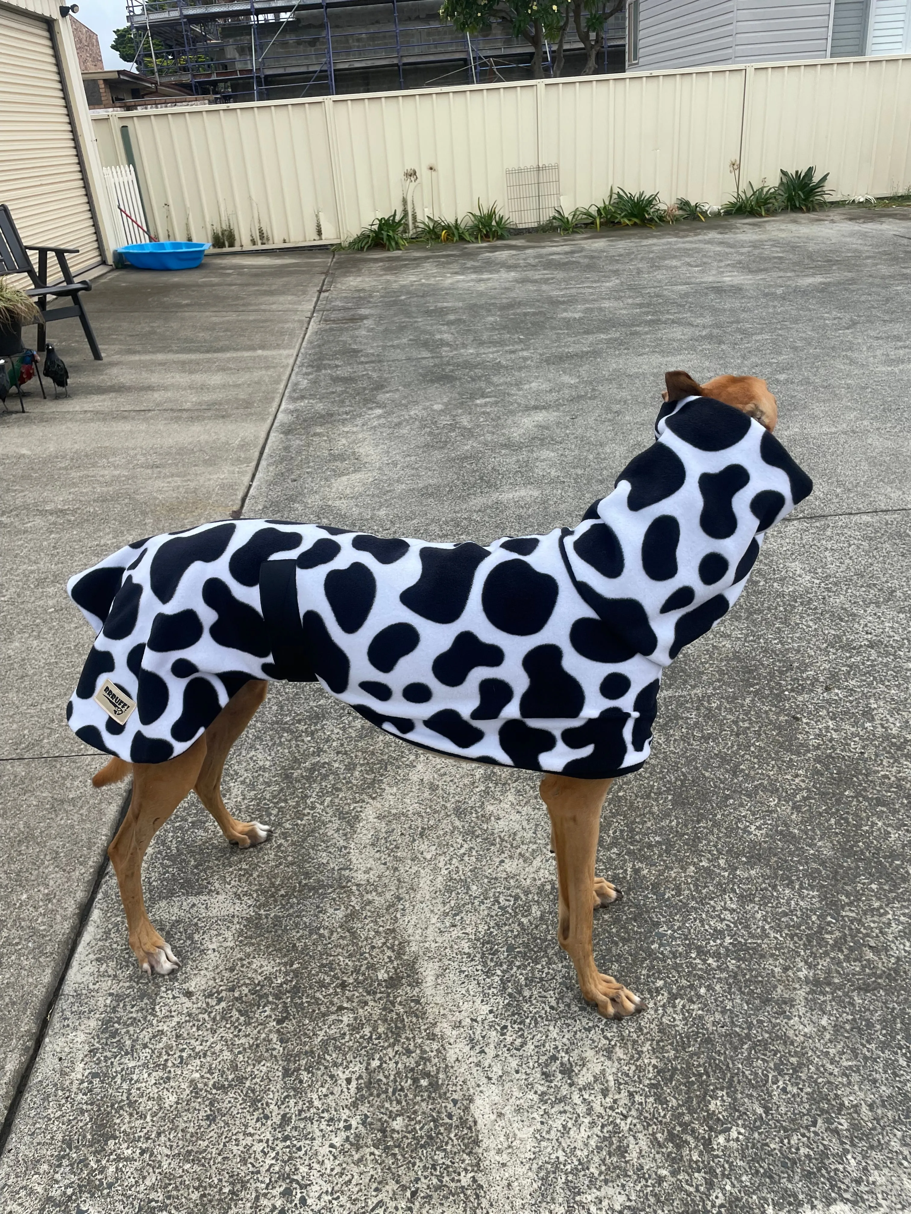 Cow print fleecy deluxe style greyhound coat with snuggly wide neck roll washable