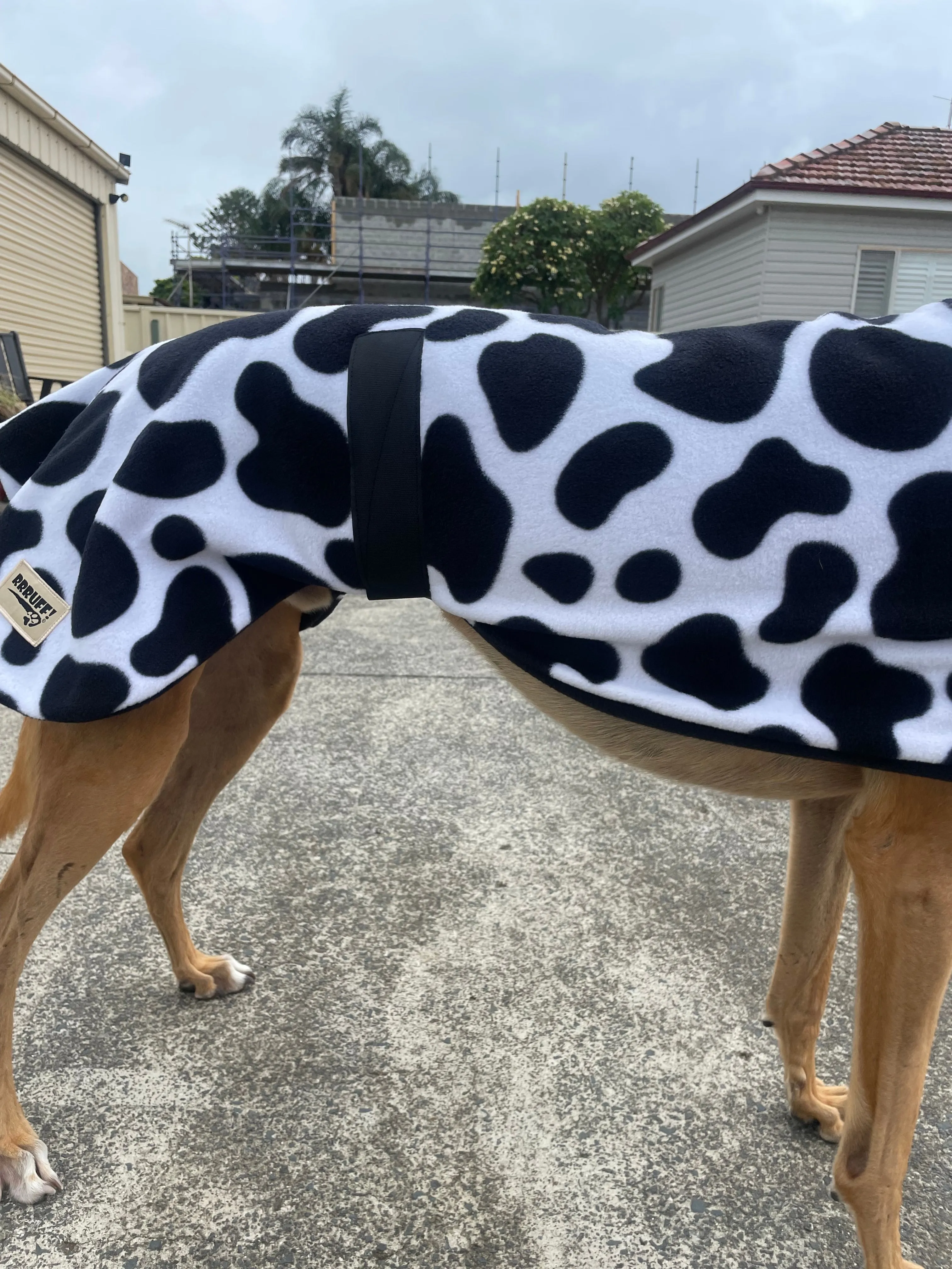 Cow print fleecy deluxe style greyhound coat with snuggly wide neck roll washable