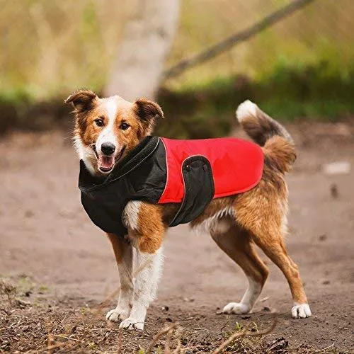 Dog Waterproof Warm Jacket - Yellow -S/M/L