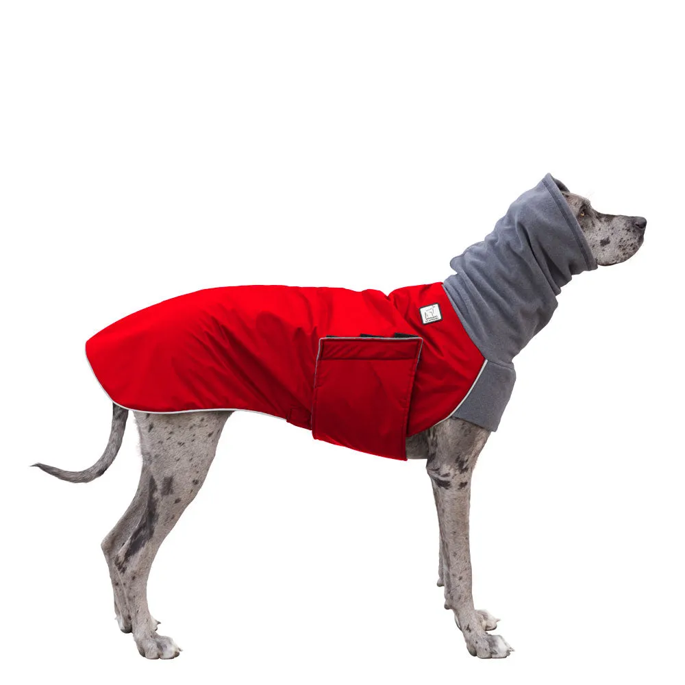 Great Dane Winter Coat