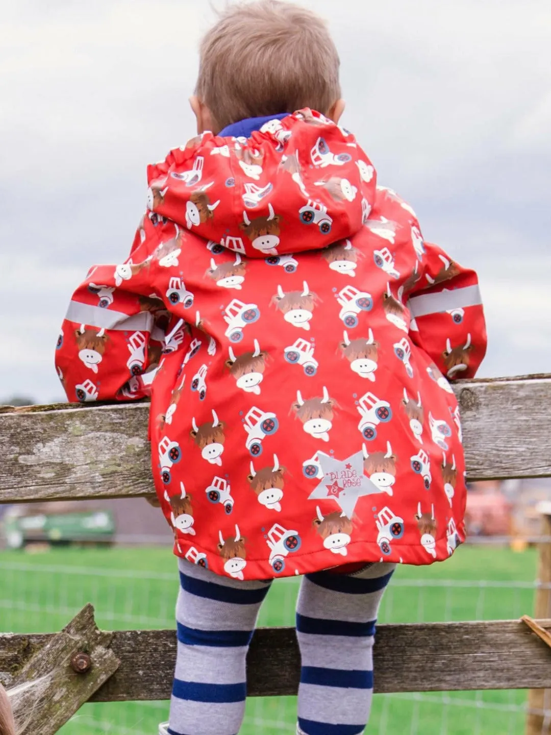 Hamish Highland Cow Colour Changing Raincoat