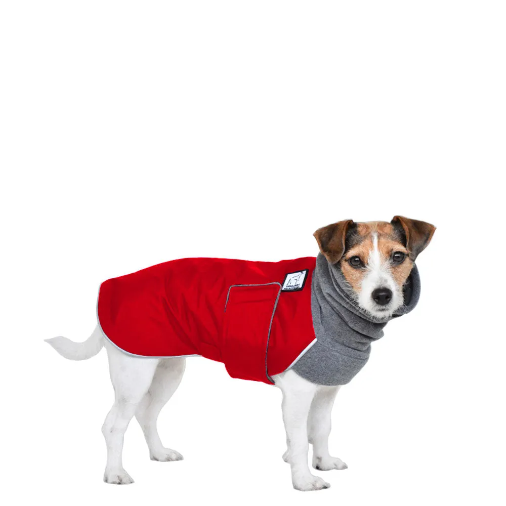 Jack Russell Terrier Winter Coat