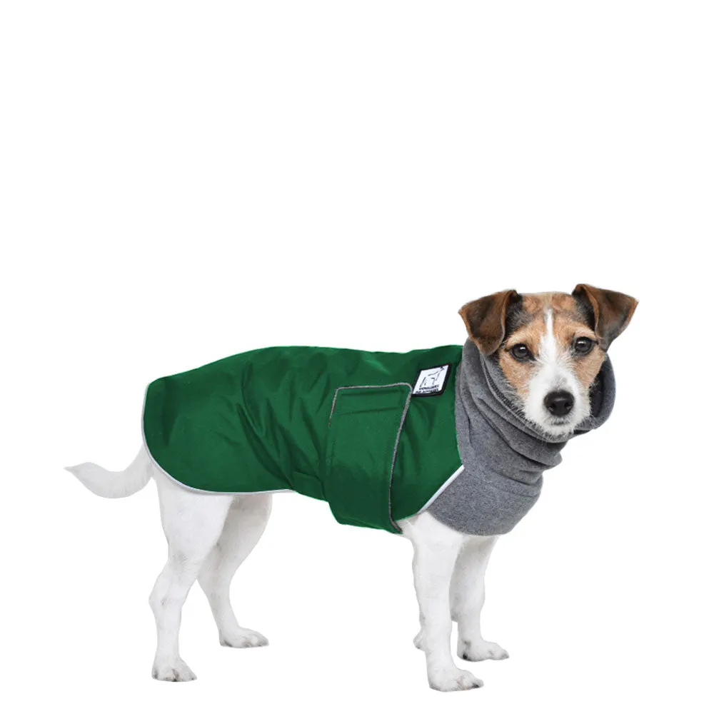 Jack Russell Terrier Winter Coat