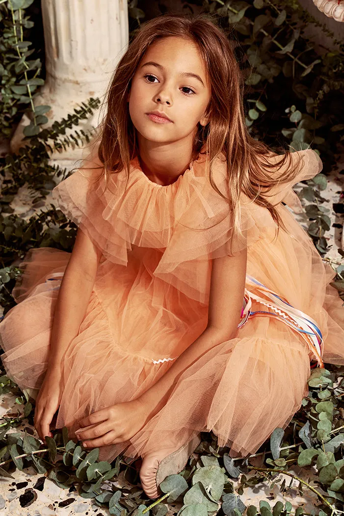 Nellystella Anastasia Girls Dress - Peach Soda