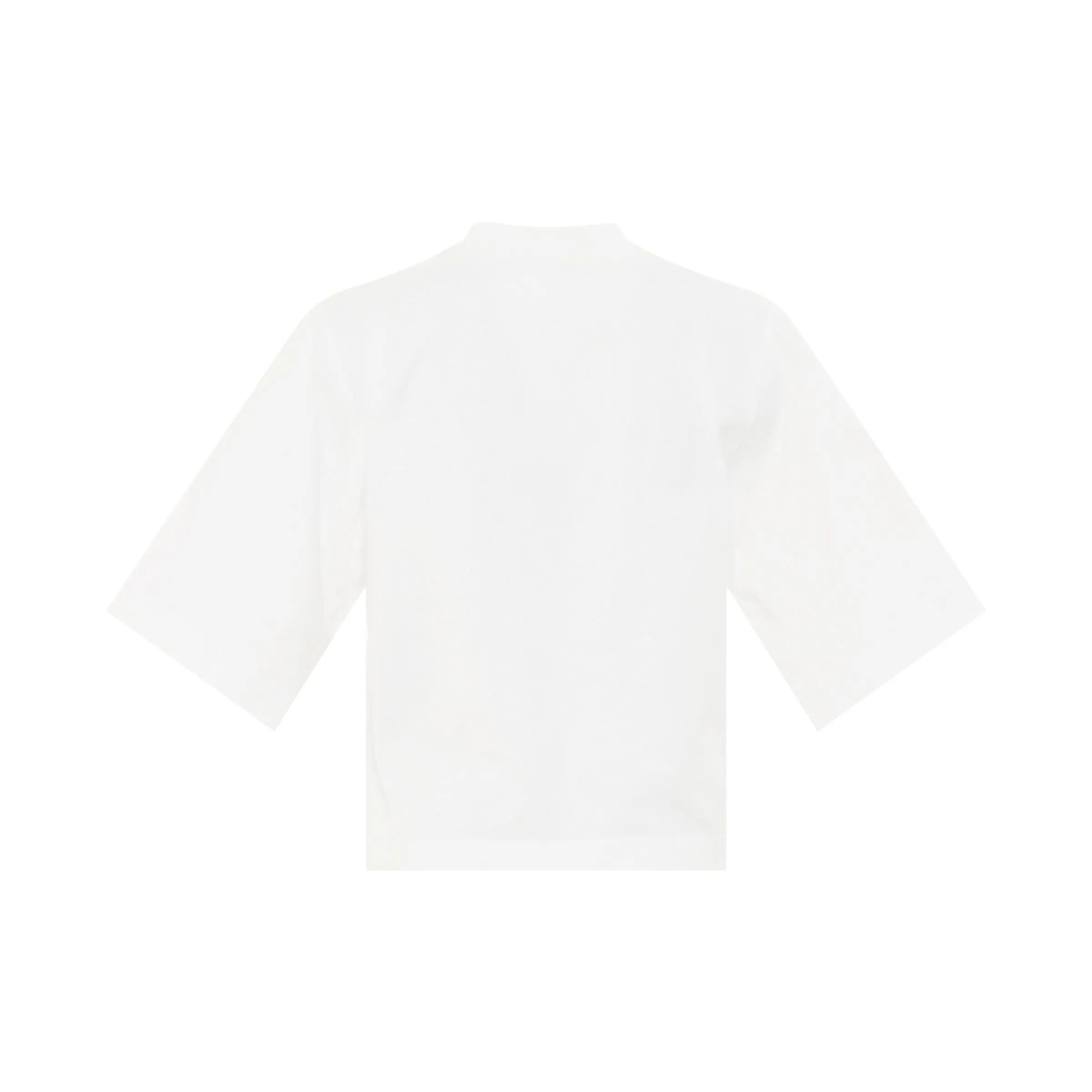 Palm Angels Bear Cropped T-Shirt on White/Brown