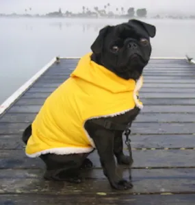 Raincoats for Pugs: Sun Shiny Day Rain Hoodies