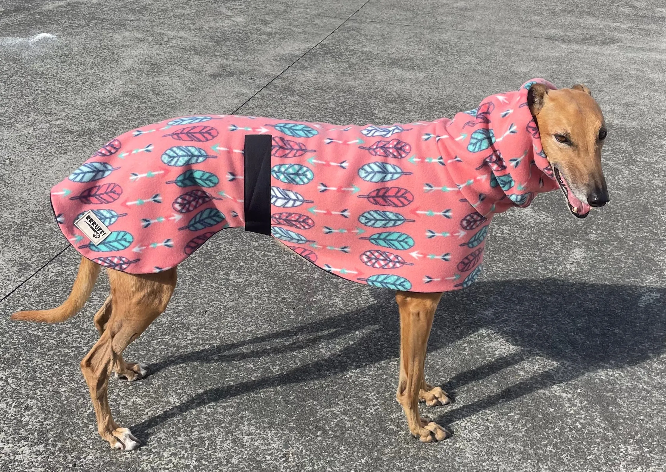 Stylish feathers greyhound coat rug snuggly polar fleece washable extra wide neck hoodie