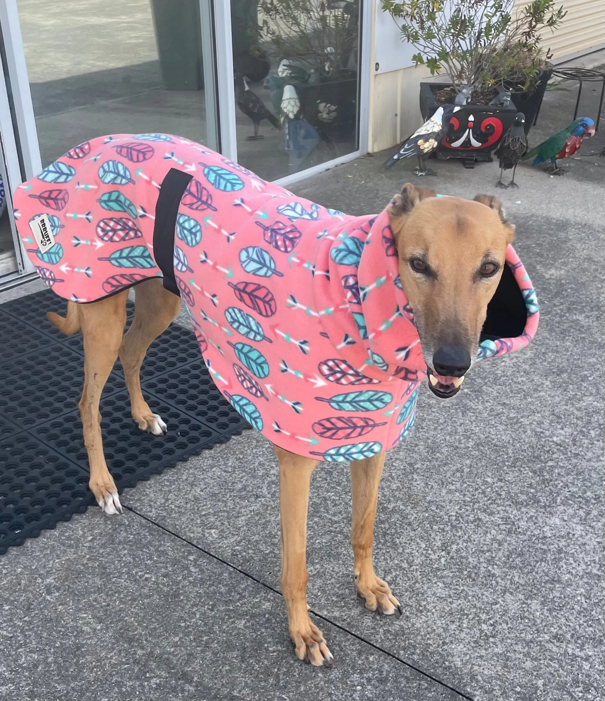 Stylish feathers greyhound coat rug snuggly polar fleece washable extra wide neck hoodie