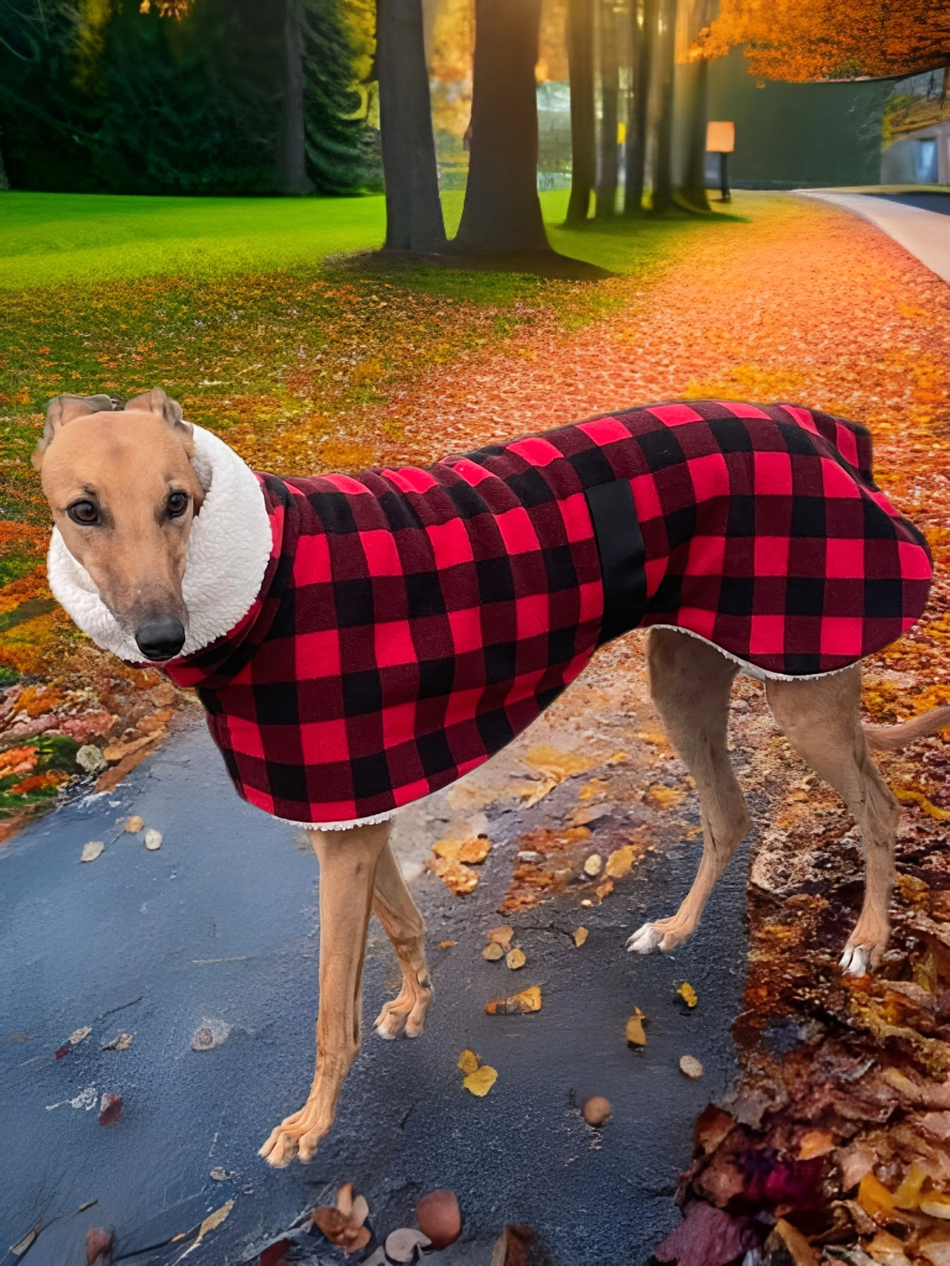 The red Lumberjack Greyhound coat in deluxe style rug red black tartan check  polar fleece washable extra wide neck